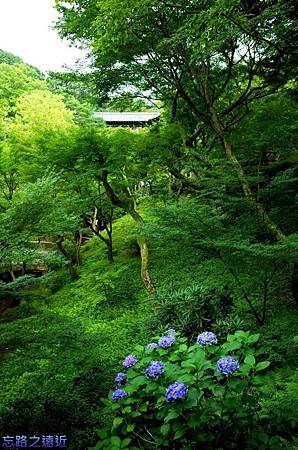 pic pimg tw look2up 1436953620 2436481715 m jpg