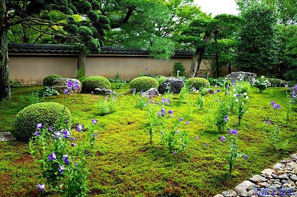 pic pimg tw look2up 1436953633 1313901464 n jpg