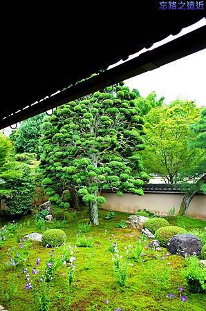 pic pimg tw look2up 1436953636 1962719737 m jpg