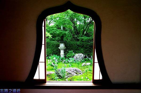 pic pimg tw look2up 1436953761 1220495577 n jpg