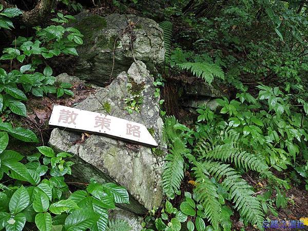 pic pimg tw look2up 1437207665 3230808585 n jpg