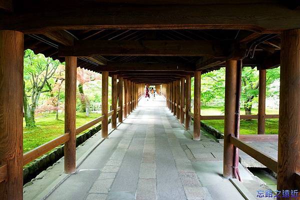 pic pimg tw look2up 1437883280 1556670006 n jpg