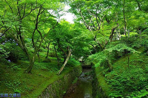 pic pimg tw look2up 1437883306 1383807949 n jpg