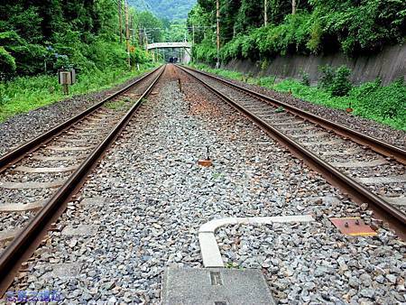 pic pimg tw look2up 1438765834 2352531321 m jpg