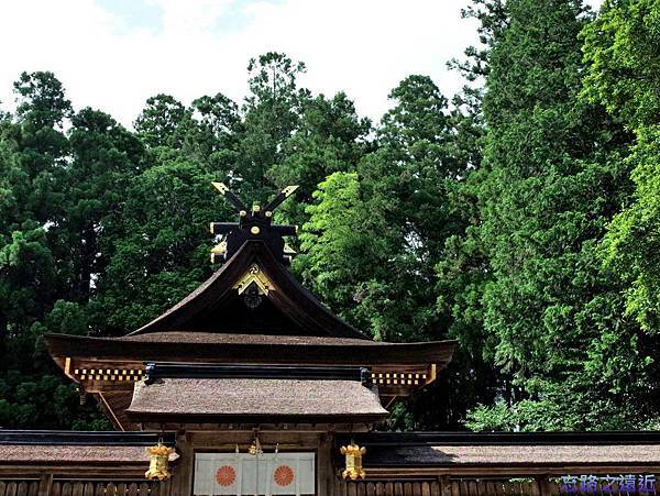 pic pimg tw look2up 1440909730 1761784633 n jpg