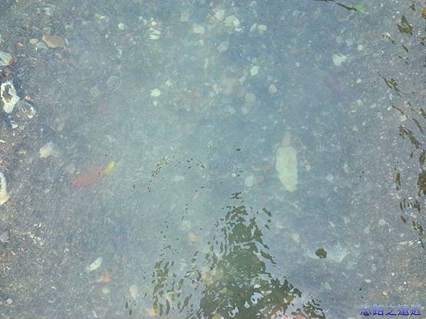 pic pimg tw look2up 1441427589 1970961668 n jpg