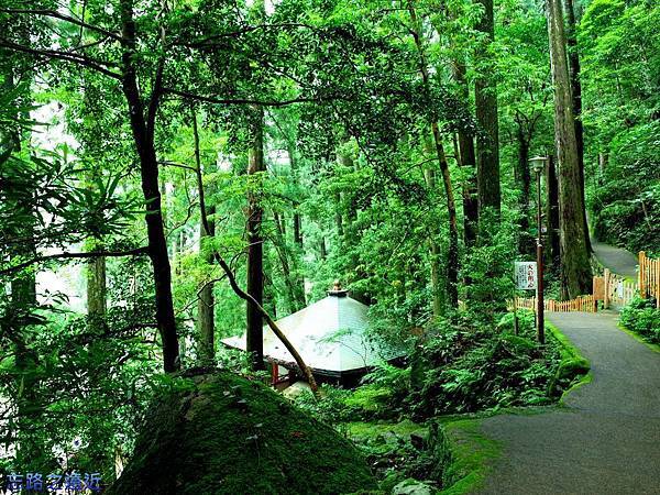 pic pimg tw look2up 1442121363 1576931965 n jpg