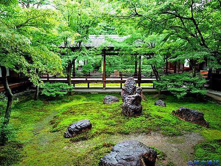 pic pimg tw look2up 1445992387 4132297142 m jpg