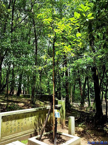 pic pimg tw look2up 1448683980 202615676 n jpg