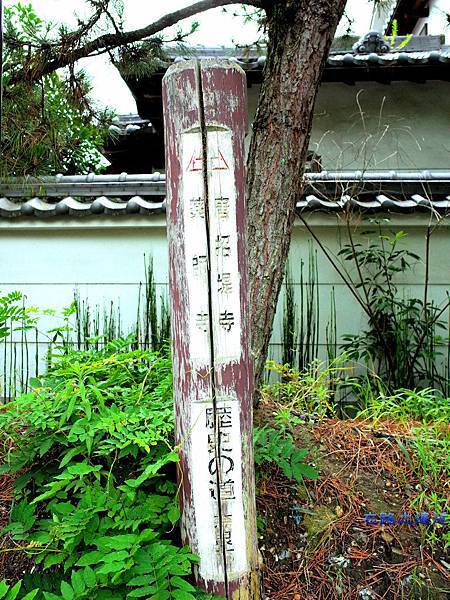 【關西.奈良】奈良行腳~~遊「藥師寺」-- 體會玄奘三藏大師的法相宗遺風 3 pic pimg tw look2up 1449631319 2487926680 n jpg
