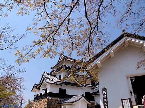 pic pimg tw look2up 1457769407 878685967 n jpg