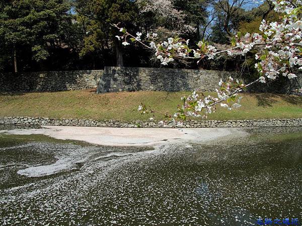 pic pimg tw look2up 1457769426 2360999253 n jpg