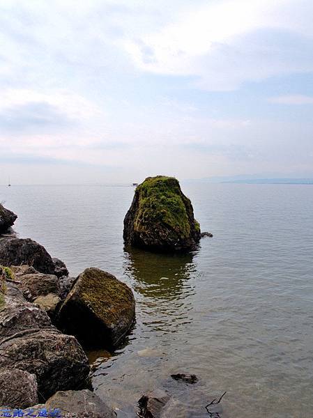 【關西.滋賀】日本櫻花名所百選之~~海津大崎櫻花並木--琵琶湖畔賞櫻 18 pic pimg tw look2up 1459060696 3119602519 n jpg