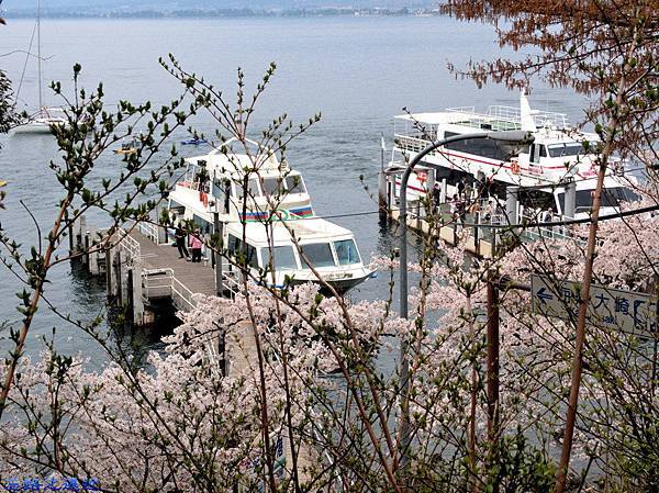 【關西.滋賀】日本櫻花名所百選之~~海津大崎櫻花並木--琵琶湖畔賞櫻 26 pic pimg tw look2up 1459060709 3391010987 n jpg