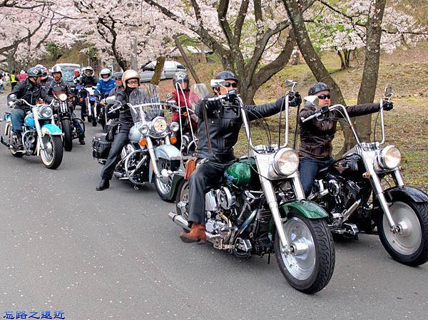 【關西.滋賀】日本櫻花名所百選之~~海津大崎櫻花並木--琵琶湖畔賞櫻 31 pic pimg tw look2up 1459060718 3464613999 n jpg