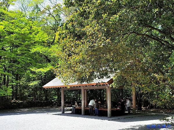 pic pimg tw look2up 1462958706 3164716006 n jpg