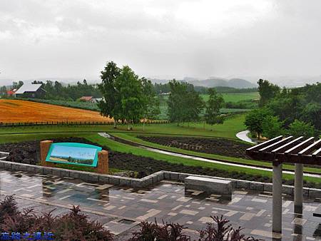 pic pimg tw look2up 1465533240 3896698233 m jpg