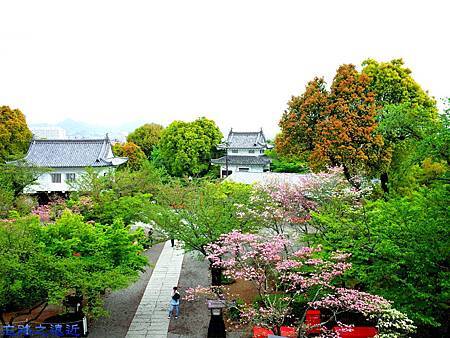 pic pimg tw look2up 1467188478 4021207184 m jpg