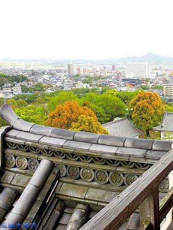 pic pimg tw look2up 1467876148 3349472241 m jpg