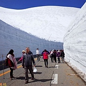 pic pimg tw look2up 1472877147 3299837636 q jpg