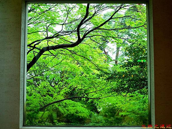 pic pimg tw look2up 1475914277 2679385386 n jpg