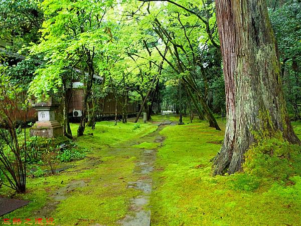 pic pimg tw look2up 1476928400 4055909825 n jpg