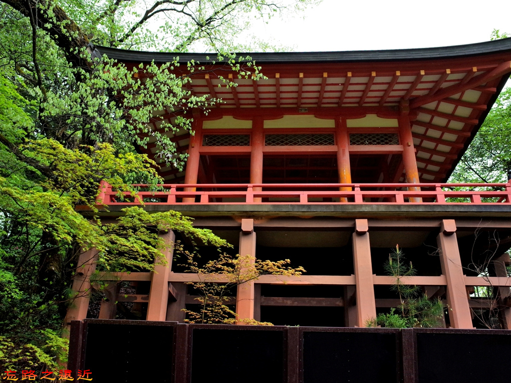 pic pimg tw look2up 1476928505 542472387 jpg