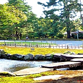 pic pimg tw look2up 1477552685 1250444433 q jpg