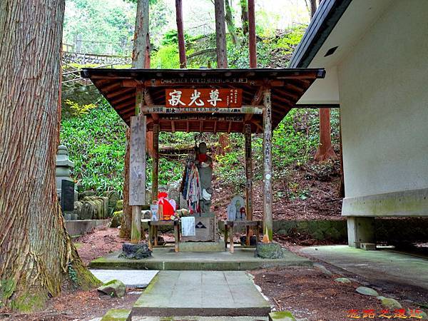 【甲信越.長野】別所溫泉漫遊(三)~~寧靜的信州最古老寺院「安樂寺」,賞日本國寶-僅存的「三重八角塔」 29 pic pimg tw look2up 1478163142 2576074379 n jpg