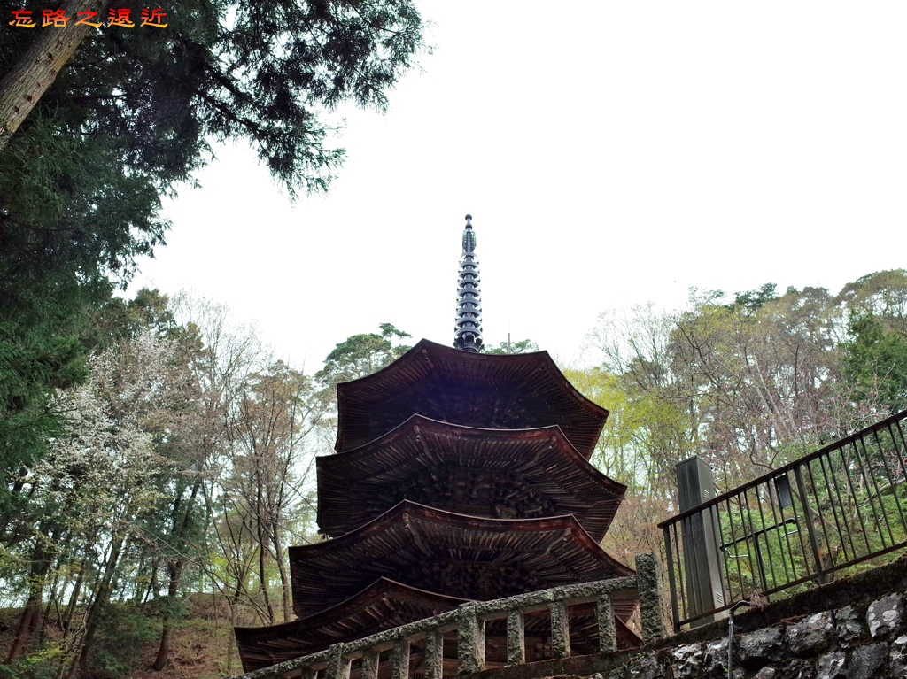 【甲信越.長野】別所溫泉漫遊(三)~~寧靜的信州最古老寺院「安樂寺」,賞日本國寶-僅存的「三重八角塔」 31 pic pimg tw look2up 1478163152 696346671 jpg