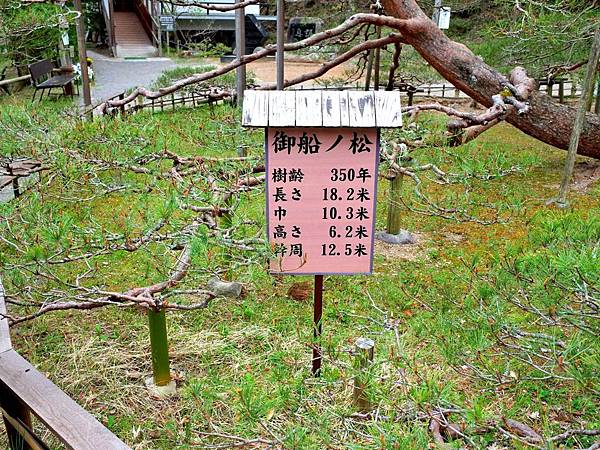 pic pimg tw look2up 1479186185 1802863213 n jpg