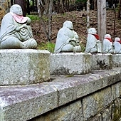 pic pimg tw look2up 1479186191 3651755194 q jpg