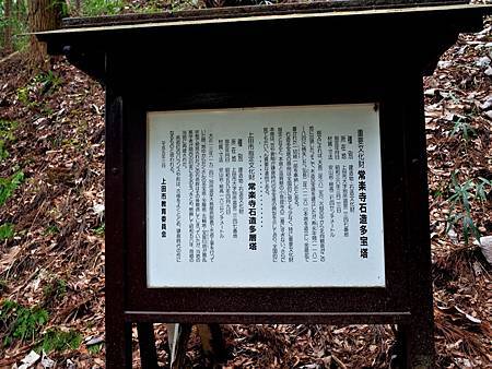 pic pimg tw look2up 1479186212 3061039563 m jpg