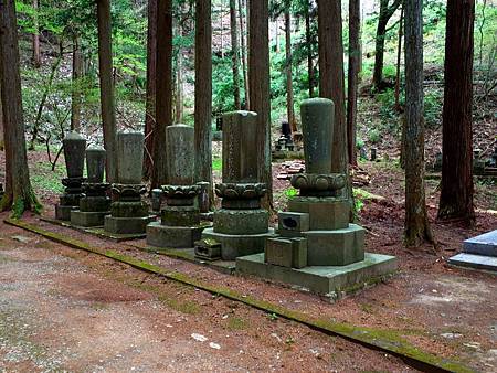 pic pimg tw look2up 1479186215 3792728549 m jpg