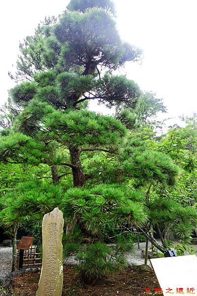 【關東.神奈川】鎌倉古都一日遊(三)~~走訪高德院鎌倉大佛、大草鞋、觀月堂,回顧那一些林林總總的小故事 15 pic pimg tw look2up 1480824898 1492804459 n jpg