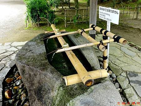 pic pimg tw look2up 1482040593 67531676 m jpg