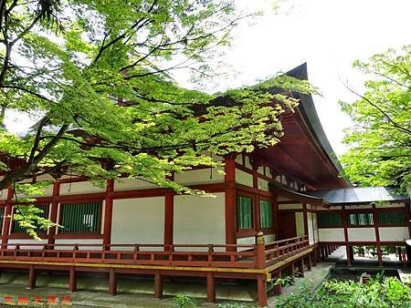 pic pimg tw look2up 1482040618 4051571176 m jpg