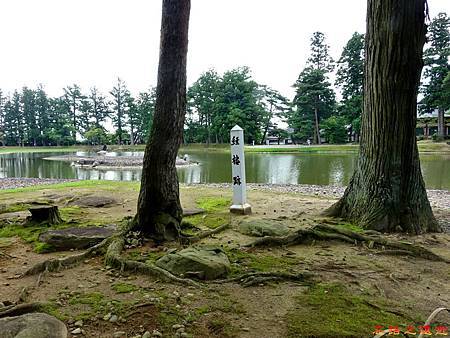 pic pimg tw look2up 1482040655 2373034951 m jpg