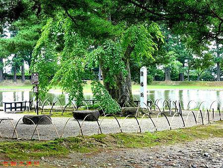 pic pimg tw look2up 1482040668 925920167 m jpg