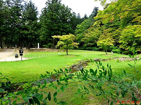 pic pimg tw look2up 1482040678 2034749838 m jpg