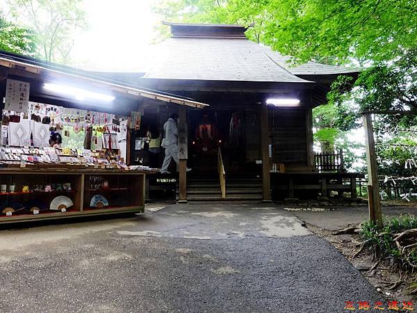 pic pimg tw look2up 1482913751 3133204671 n jpg