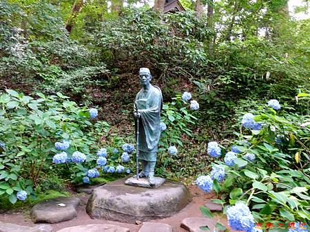 pic pimg tw look2up 1482913833 954271999 m jpg