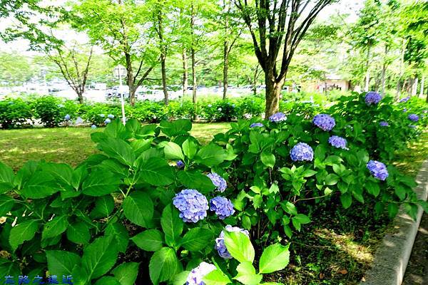 【東北.岩手】「盛岡手作村(盛岡手づくり村)」盛岡手工藝一次看完(含:交通方式、時刻表、地圖資訊) 6 pic pimg tw look2up 1486195526 3213113452 n jpg