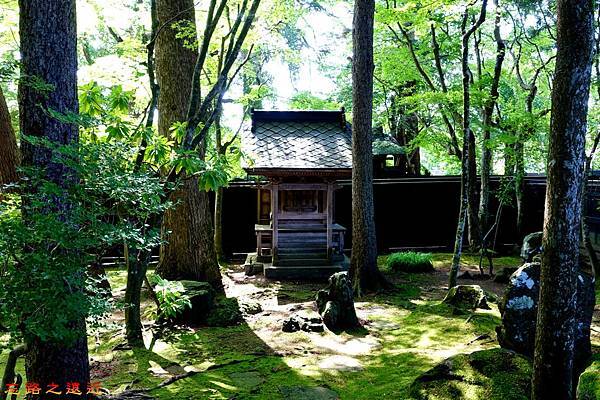 pic pimg tw look2up 1492164812 55900401 n jpg