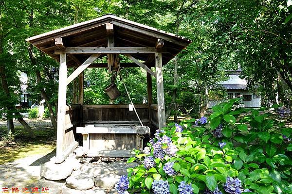 pic pimg tw look2up 1492164840 1998093311 n jpg