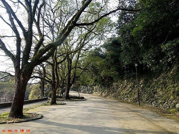 【關西.和歌山】日本和歌山景點~~ 遊「和歌山城」,登「伏虎山」攬勝 40 pic pimg tw look2up 1494216952 843362303 n jpg