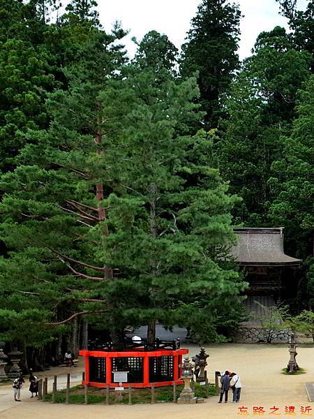 pic pimg tw look2up 1496299080 2627589261 n jpg