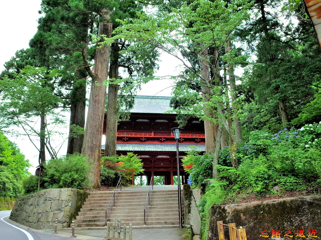 pic pimg tw look2up 1496911927 2646245615 jpg