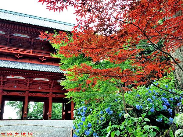 pic pimg tw look2up 1496911944 3851775224 n jpg