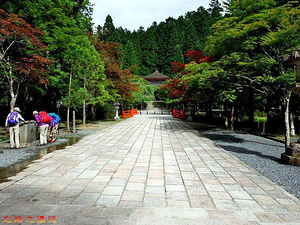 pic pimg tw look2up 1497346336 3666230026 n jpg